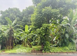 bán đất vị trí đep view công viên kdc văn minh, phường an phú.tp thủ đức.