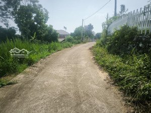 cần bán đất nông trường việt mông thuộc xã yên bài _ hà nội