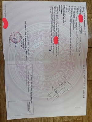 chính chủ gửi bán lô góc tại khu đấu giá mai đình sóc sơn hà nội - lh 