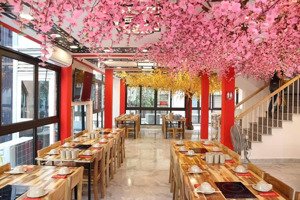 cho thuê nhà mặt phố tuệ tĩnh dt 115 m2 x 5 tầng, mt 5 m và dt 65m2 x 3 tầng , mt 11m lô góc