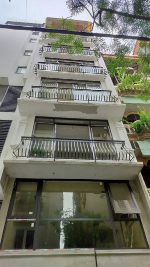 hoa hậu! toà vp phân lô phố vip huỳnh thúc kháng, 52m2 x 8 tầng, mt 4m, ô tô tránh, kinh doanh đỉnh