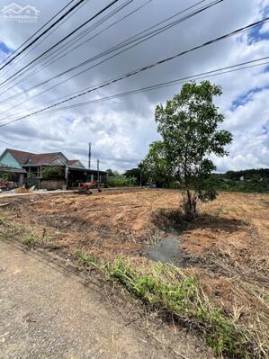 BÁN NHANH 05 LÔ ĐẤT NỀN 2 MẶT TIỀN - 1 SẸC ĐƯỜNG HUỲNH VĂN NGHỆ