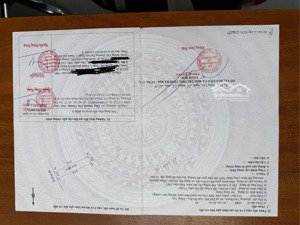 bán đất 135m2 tại đường 51, tân phước, phú mỹ, bà rịa vũng tàu, giá 1,45 tỷ