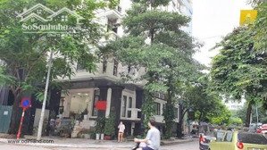 cần cho thuê siêu phẩm lô góc mặt phố vũ phạm hàm - vị trí siêu đẹp