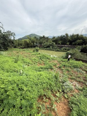 cần bán tổng diện tích 3800/400m2 thổ cư. trong sổ 2300m2 giá rẻ. tiến xuân hà nội lh: 