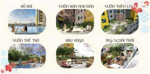 bcons asihi khởi nguồn cuộc sống an nhiên