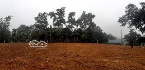 cần bán gấp lô đất 3 mặt tiền siêu đẹp vị trí trung tâm, ngay kcn chân mộng, phú thọ. 1tỷ7