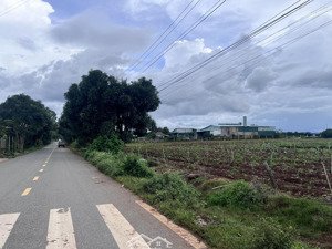 bán đất đường vào thác pongour rộng 17000m2-103m mặt tiền nhựa tại quốc lộ 20, đức trọng, lâm đồng.