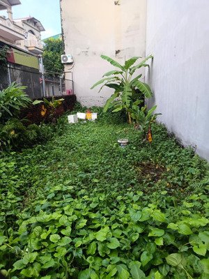 ngõ ô tô: 70m2 đất phường thạch bàn long biên ô tô vào tận đất