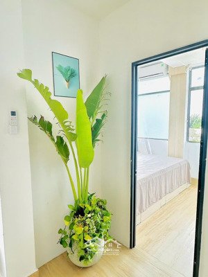 cho thuê cc mini, 9,5 triệu, 50m2, 2pn, quang trung, p 10, gò vấp, hcm, giá tốt