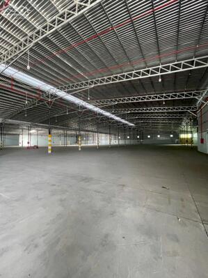 Cho thuê kho xưởng bãi 10.500m² kho xây dựng 7.500m² có PCCC tự động, đường Võ Nguyên Giáp, Q. Cái Răng, TP. Cần Thơ, lộ Container