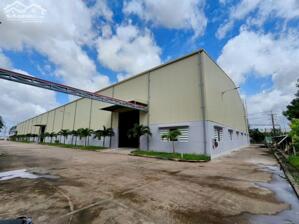 Cho thuê kho xây dựng 4.600m² có PCCC và trạm điện 3 pha, trong khu công nghiệp Bình Minh, lộ Container