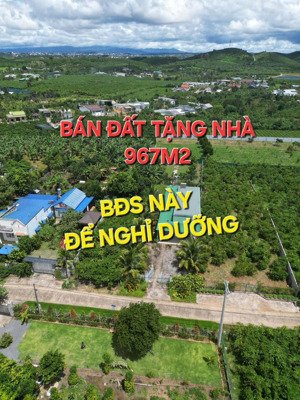 nhà vườn sẵn cây ăn trái, đường xá thuận tiện. dọn vào ở ngay