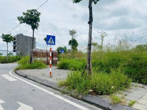 hàng nóng đấu giá thuỵ lâm - lk6 lô áp góc , giá chỉ 91tr, không có lô thứ 2