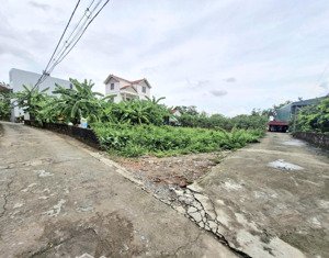 bán đất xuân khôi, cự khối, long biên, 99m2, mt 6.5m, giá 5.6 tỷ, nhà sân vườn không khí trong lành