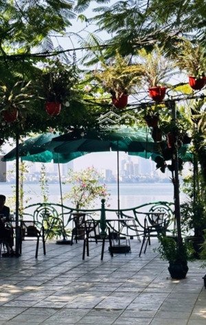 mảnh đất mặt đường thanh niên mặt hồ tây phố yên hoa - diện tích 550m2 - mặt tiền 15m - full thổ cư