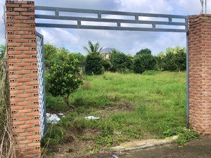 bán gấp đất trang trại, khu nghỉ dưỡng đường 873b, xã tân đông, đồng tháp, 3,4 tỷ, 3000 m2