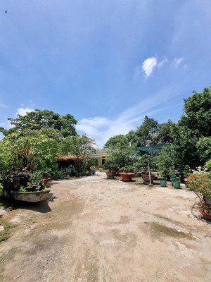 chủ cần bán đất thổ có nhà vườn và nhà yến, mộc hoá - long an