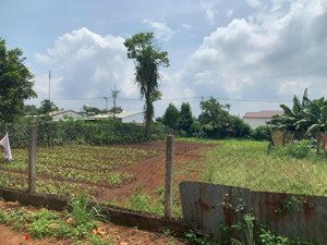 bán đất tại nguyễn chí thanh, chư á, plei ku, gia lai, 470 triệu, 170m2 - giá tốt, uy tín