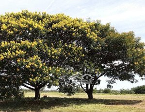 đầu tư tích sản đất đẹp 32.314m2, lô góc 2 mặt tiền, đường ô tô, view đẹp, thế đẹp, giá tốt đầu tư