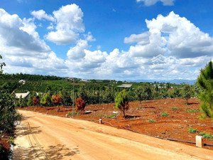 đất đẹp nghỉ dưỡng 300m2 chỉ 700 triệu tân hà - lâm hà - lâm đồng