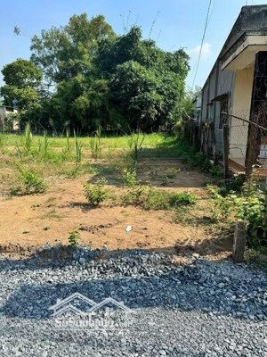 gia đình chị sương dần ra nhanh miếng đất này