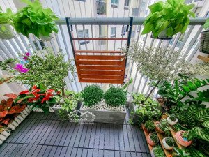 căn hộ mỹ tho giá rẻ sổ hồng sẵn sang tên ngay