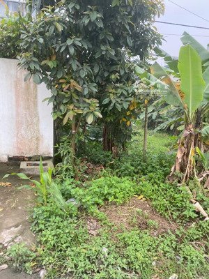 bán gấp đất tại vân phú, 6,3 tỷ, 102m2, phú thọ