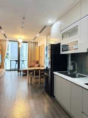 cho thuê căn hộ chung cư symphony 2pn2vs