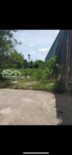 chính chủ bán lô đất 88m hồng thái - an dương, sđcc, nở hậu, cách đường chính 15m