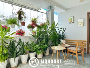 căn hộ 1 phòng ngủ (50m2) sân vườn full nội thất thang máy - lê văn sỹ quận 3