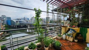 mặt phố kinh doanh, vũ thạnh, đống đa. dt 90m² x 5 tầng, mt 20m, giá 49 tỷ. lô góc