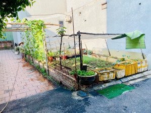 cần bán nhanh trong tuần. đất trâu quỳ đường thông sát vách trường đh nông nghiệp.