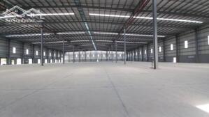 Cho Thuê 11.300m2 Nhà Xưởng Tại Bến Cát Bình Dương PCCC Tự Động Giấy Tờ Đầy Đủ 2.5$/m2
