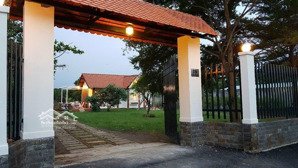 cho thuê nhà vườn khu biệt thự đường 816 phường phú hữu quận 9 có nhà cấp 4, lh 