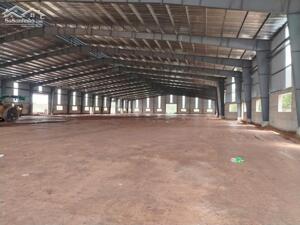 Cho Thuê 5.500m2 Nhà Xưởng Tại Bàu Bàng Bình Dương Giấy Tờ Đầy Đủ