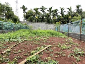 Lô TC 4,9*24,7m hậu 5m,hẻm 266 ymoan,gần đường Chính