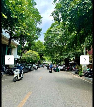 siêu phẩm cực hót biệt thự làng việt kỉều châu âu, kinh doanh, ôtô vỉa hè rộng, gần 200m, 55ty