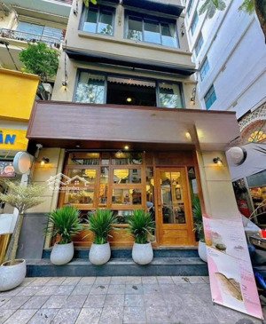 vị trí đắt giá con đường thương hiệu hai bà trưng p. bến nghé quận 1