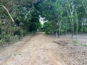 chính chủ bán lô đất ở mặt tiền 40m tại tân phong, tân biên, tây ninh