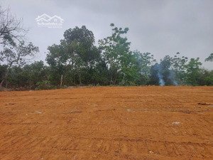 698 m tc 100m mặt tiền 19m giá 3,2 tỷ giá thấp hơn thị trường nhanh tay chong 4 ngày tại vân hòa bv