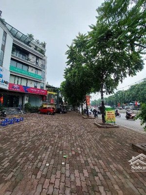 bán nhà mặt phố trần khát chân, 155m2 4t, mt 8m, 105 tỷ 