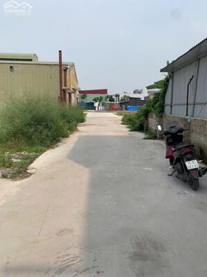 Bán 62m đất tại Bạch Mai An Dương Hải Phòng