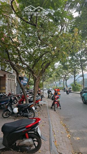 siêu phẩm lô góc mặt phố vũ tông phan, vỉa hè siêu rộng, kinh doanh sầm uất, giá đầu tư!