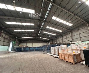 kho lớn cần cho thuê diện tích 1000m2 ở nguyễn hữu thọ đường cont