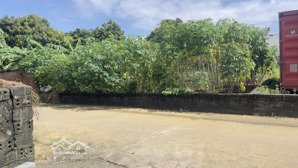 360m đat tại phú cát hà nội, giá fo , cơ hôi hiếm hoi dành cho nhà đàu tư , xem dc bài viết này