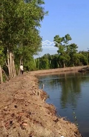 đất cln 3385m2, phước kiển, nhà bè, chỉ 4,4tr/m2