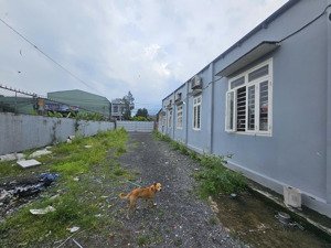 bán đất tặng nhà c4 diện tích 1000m sổ hồng riêng ngay uỷ ban phường trảng dài