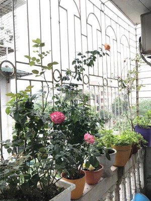 bán bán nhà riêng tại hoàng quốc việt, nghĩa đô, cầu giấy, hà nội, 8,2 tỷ, 40m2 đẹp, nhiều tiện ích