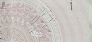 trần cung hiếm - vị trí đẹp - tòa chdv lô góc - thang máy - 1 ngoặt ra phố - 15 phòng